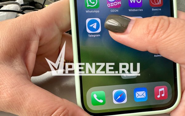 Пензячка лишилась свыше 300 тысяч рублей в надежде помочь «звезде» из Южной Кореи