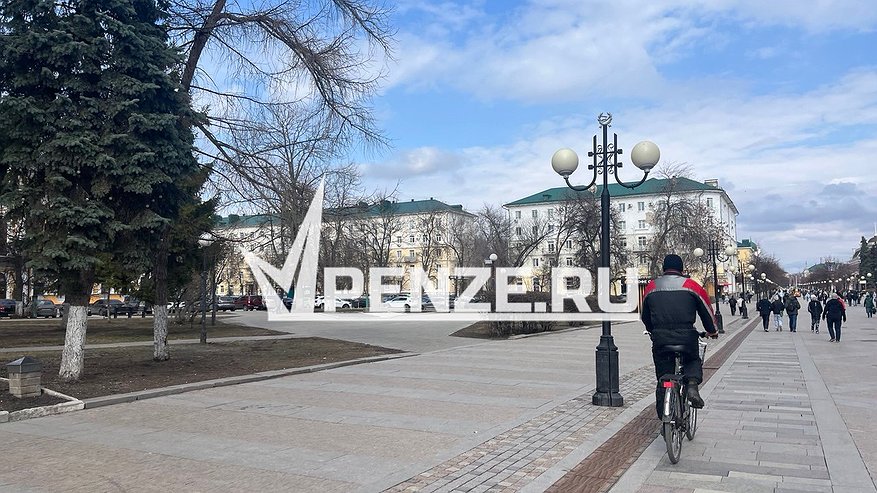 Главная картинка новости: Число пензенцев резко сократится