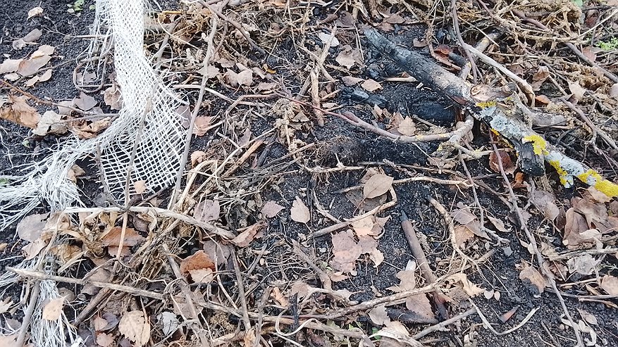 Главная картинка новости: Засыпаю 2 ложки в опавшие листья и сухую траву, получается супер удобрение за 15 рублей. Перегной больше не потребуется