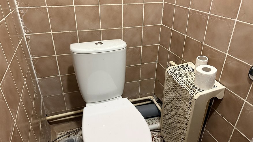 Главная картинка новости: Сыплю горстку соли на унитаз и он засверкает - насколько реально такой лайфхак может сработать