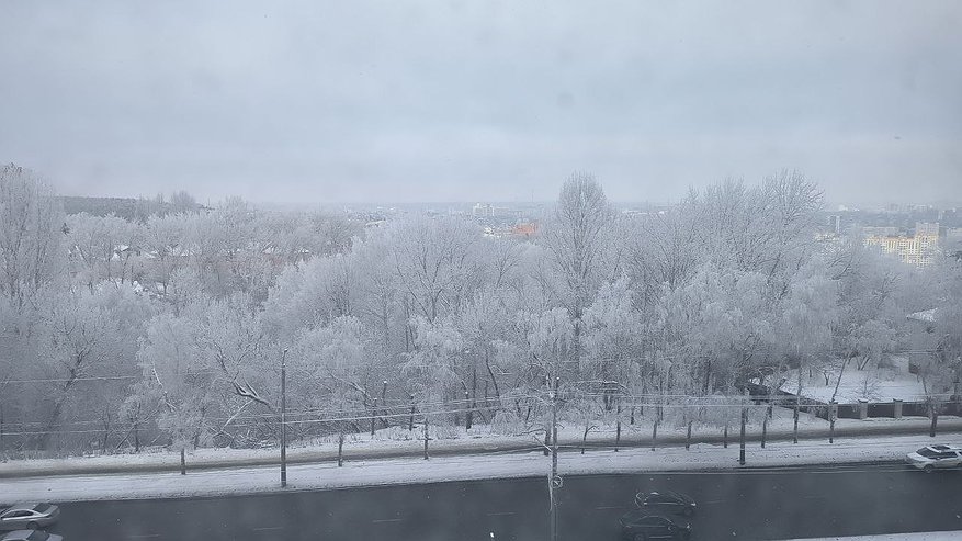 Главная картинка новости: Синоптик рассказал, когда придет настоящая зима - названа точная дата