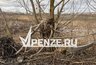 Миниатюра новости: «Куда делись наши защитники природы?!»: ремонт новой дороги в микрорайоне Заря изуродовал деревья