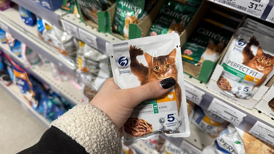 Главная картинка новости: "Не травите этим домашних кошек": в Роскачестве назвали самые худшие марки корма для питомцев