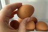 Миниатюра новости: Купил яйца на рынке и в «Пятёрочке» — сравнил дома и опупел: можно ли отличить их на самом деле?