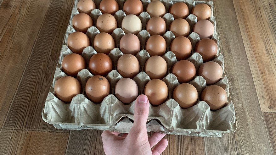 Главная картинка новости: Купил яйца на рынке и в «Пятёрочке» — сравнил дома и опупел: можно ли отличить их на самом деле?