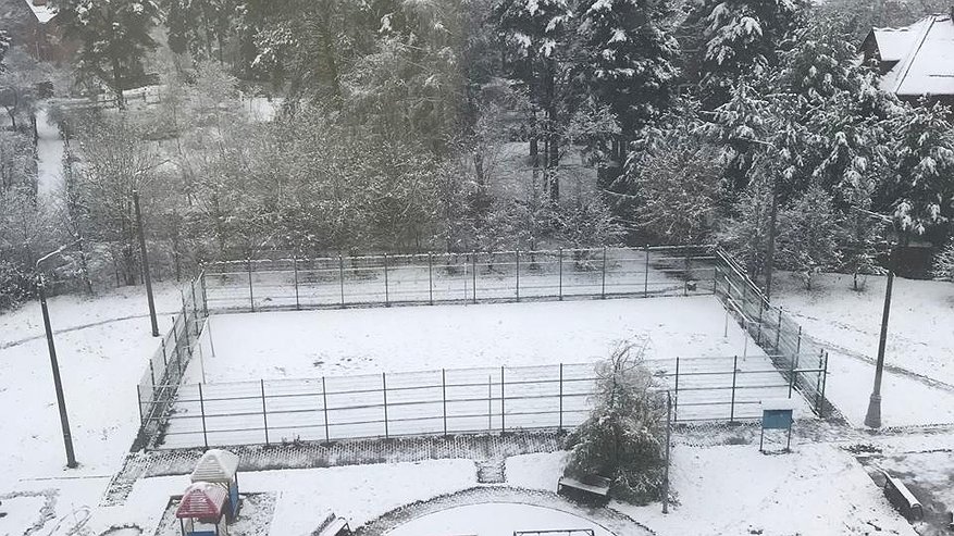 Главная картинка новости: Вильфанд рассказал, ждать ли россиянам зимней погоды в начале декабря - прогноз удивил