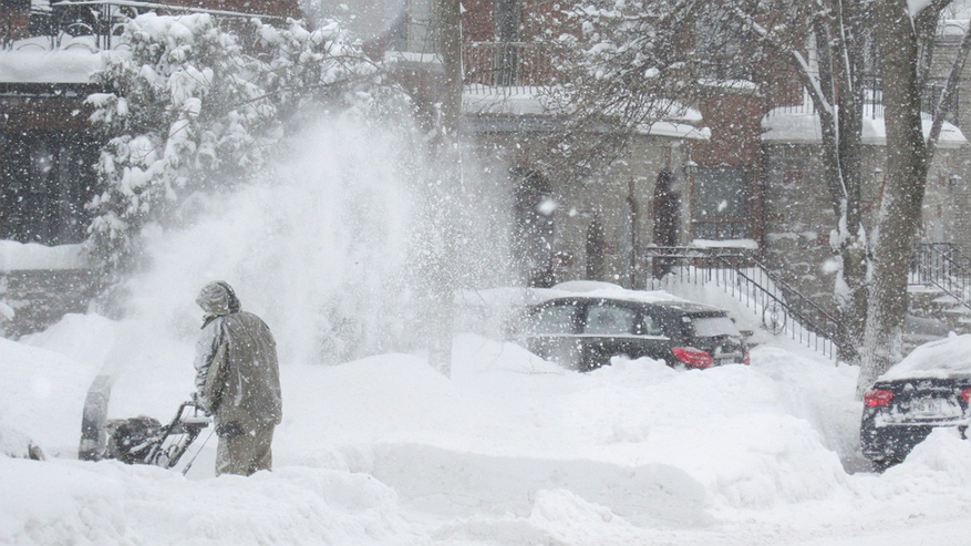 Главная картинка новости: Синоптик Позднякова рассказала, когда снег ляжет надолго