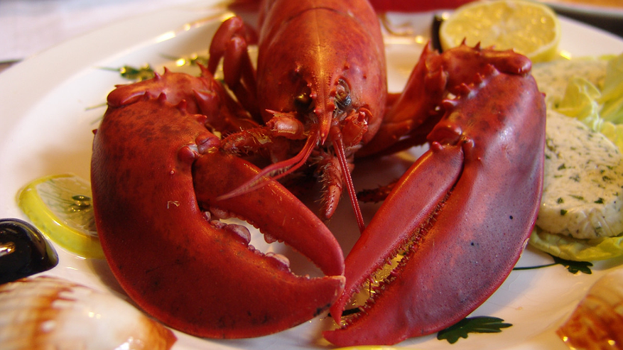 Главная картинка новости: Клешни краба из Светофора: проверяю, сколько мяса внутри и делюсь честным отзывом