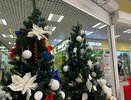 В Пензе с 10 декабря начнут работать первые елочные базары
