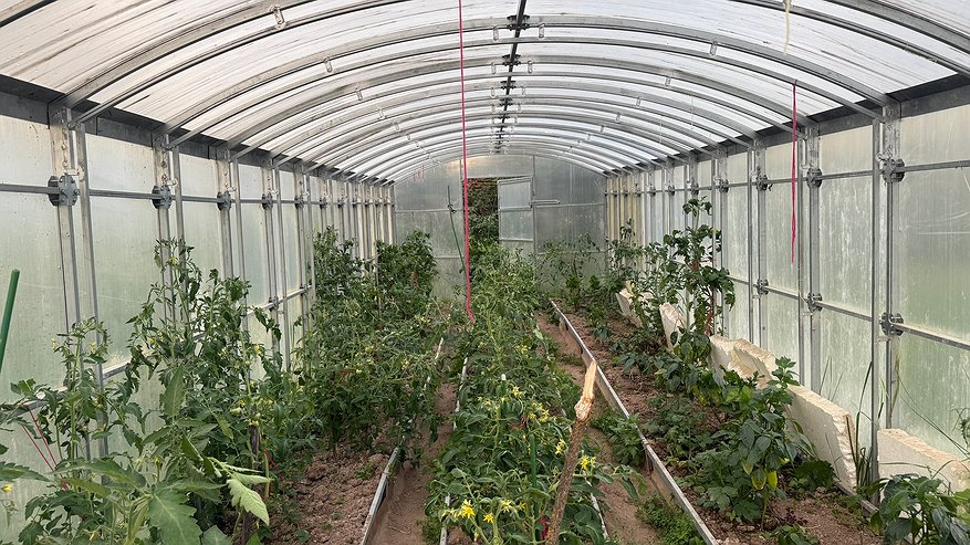 Главная картинка новости: Насыпьте это осенью в теплицу, земля станет плодородная, легкая, рыхлая как после тонны навоза