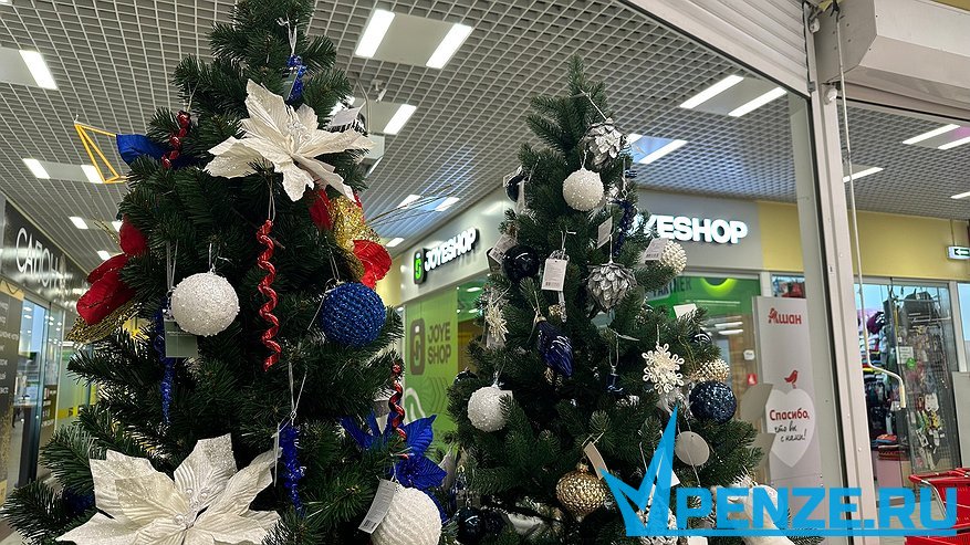 Главная картинка новости: В Пензе с 10 декабря начнут работать первые елочные базары