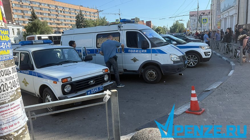 Главная картинка новости: 23-летняя пензячка пыталась заработать с помощью украденных продуктов