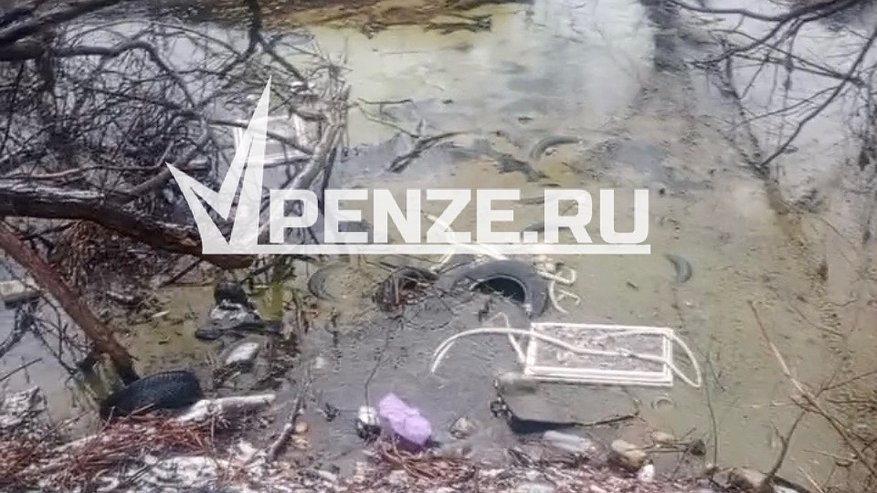 Главная картинка новости: Пензенец обнаружил две гигантские свалки шин. Их там сотни!