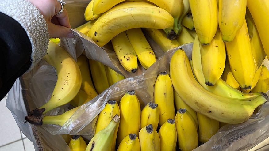 Главная картинка новости: Для чего продавцы в "Магните" и "Пятёрочке" забирают себе маленькие незаметные пакетики из ящиков с бананами
