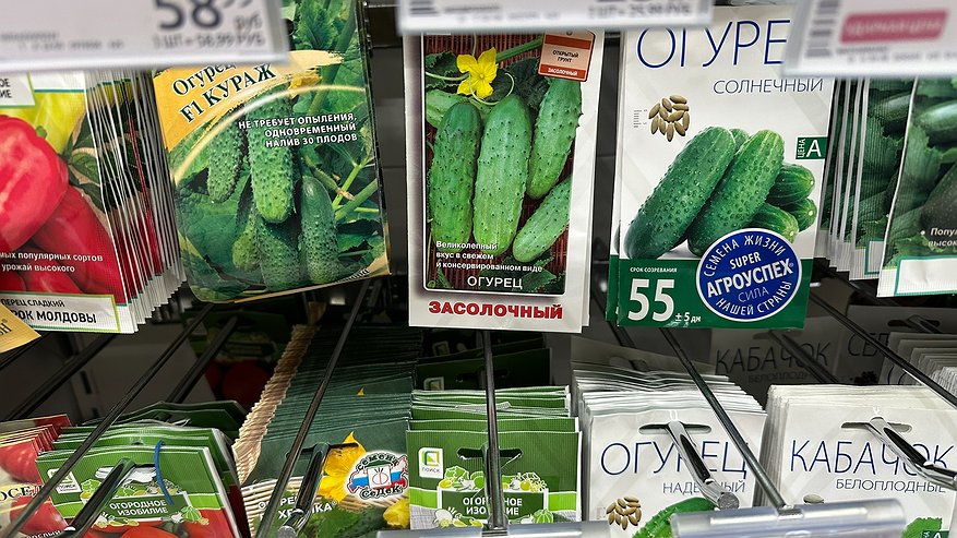 Главная картинка новости: Успел купить 7 пачек огурцов, которых в декабре уже не будет в продаже. Настоящие хиты года среди огурцов