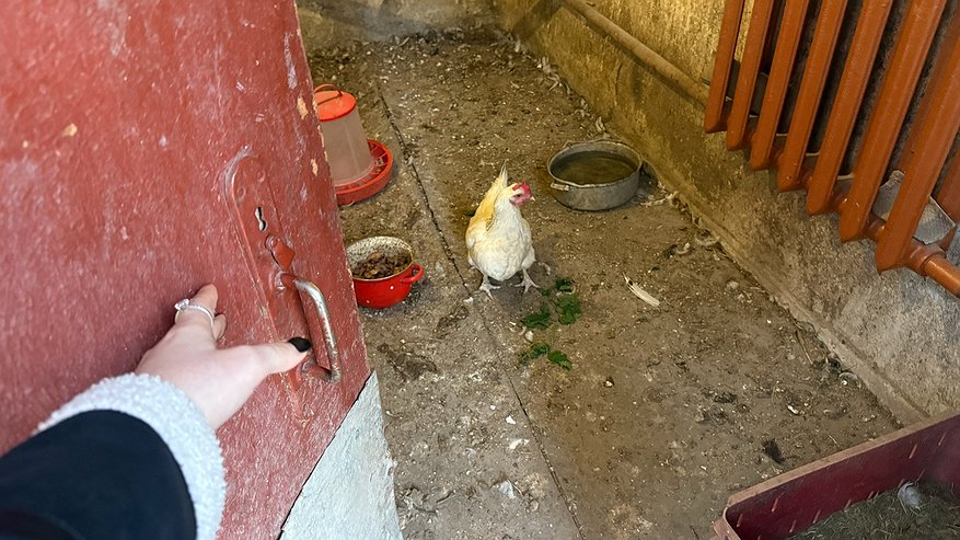 Главная картинка новости: Деревенский бизнес без коров, курочек и свиней: как техника и руки приносят доход на земле