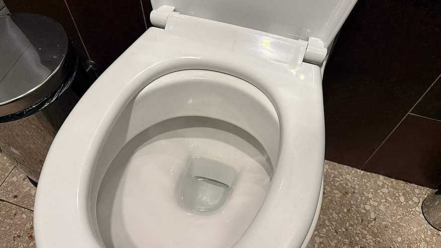 Главная картинка новости: Умные хозяйки кладут кирпич в унитаз: Научила советская бабушка - вот в чём заключается хитрость