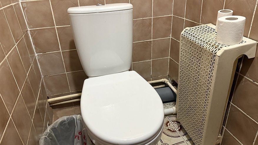 Главная картинка новости: Уходя из дома, закидываю чайный пакетик в унитаз — уникальная хитрость от горничной с 20-летним стажем