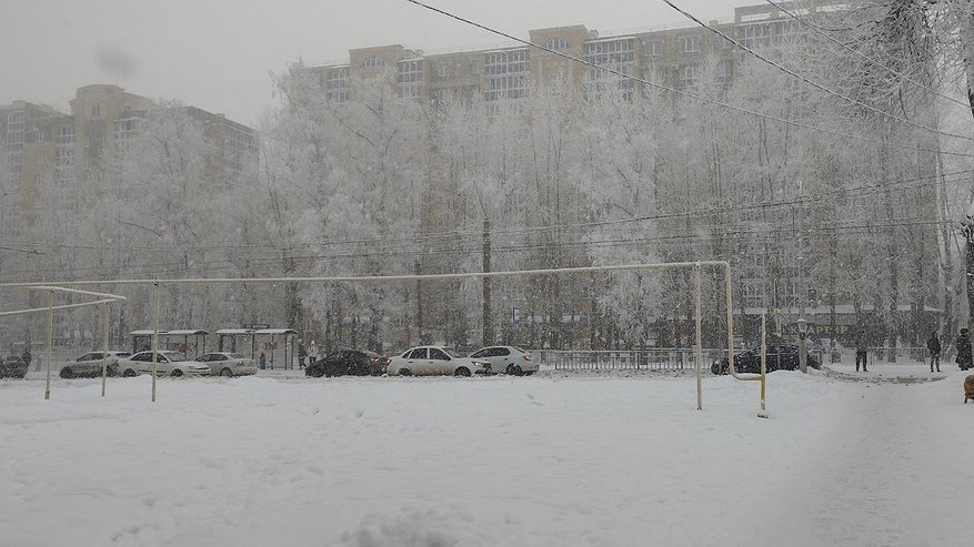 Главная картинка новости: Зима опаздывает. Синоптик Шувалов дал прогноз погоды на начало декабря 2025 - когда ударят морозы