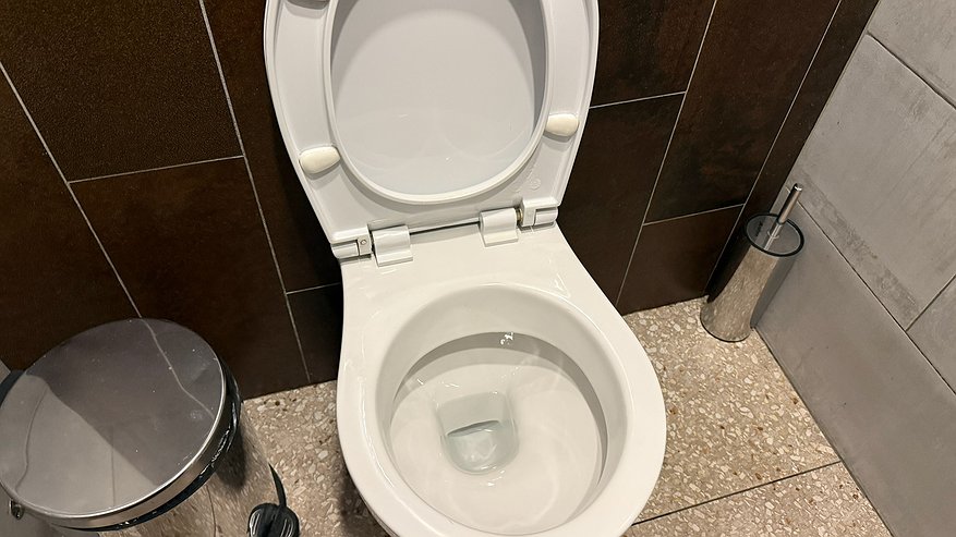 Главная картинка новости: «Не смей выкидывай чайник пакетик! Он тебе весь унитаз отчистит» — Подруга посоветовала необычный способ Делюсь результатом