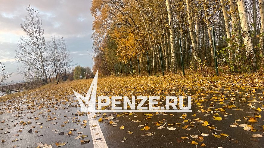 Главная картинка новости: В Лопатинском районе водитель «Лады» сбил лося