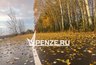 Миниатюра новости: В Лопатинском районе водитель «Лады» сбил лося