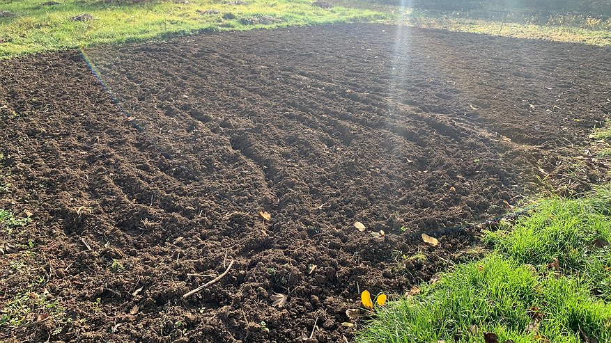 Главная картинка новости: Накрыл, снял и пожалел: почему нельзя укрывать геотекстилем землю от сорняков