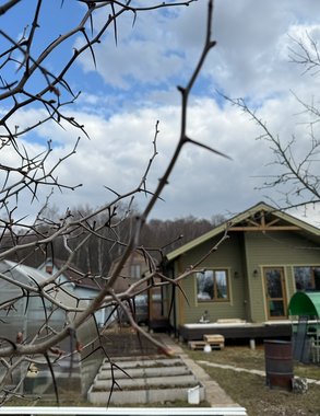 Переехать в деревню и начать зарабатывать в 10 раз больше, чем в городе - делюсь своим секретом
