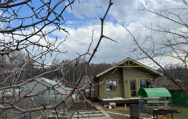 Переехать в деревню и начать зарабатывать в 10 раз больше, чем в городе - делюсь своим секретом