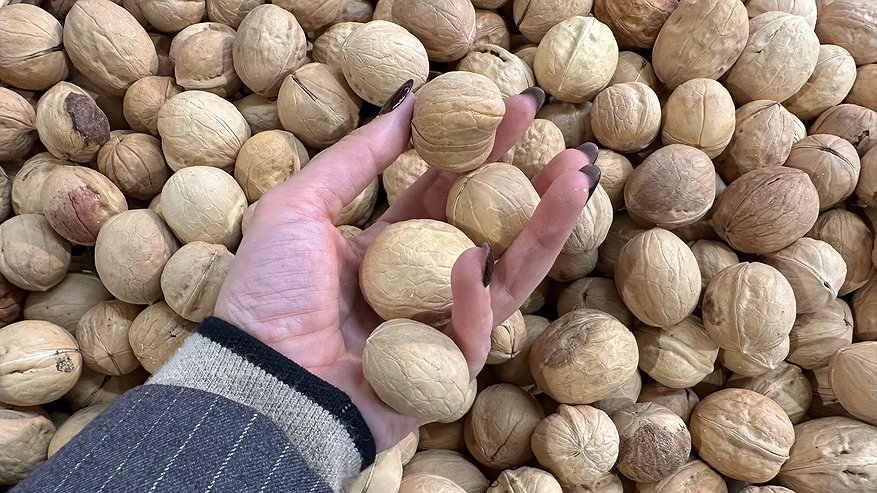 Главная картинка новости: Ученые назвали самый полезный орех — это не миндаль, не арахис и в два раза полезнее грецкого