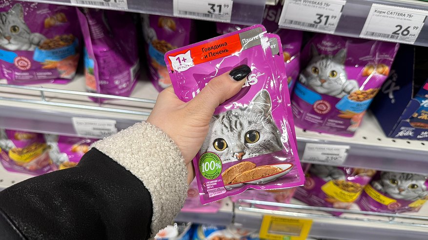 Главная картинка новости: "Умоляем, не травите этим домашних кошек": в Роскачестве назвали самые худшие марки корма для питомцев