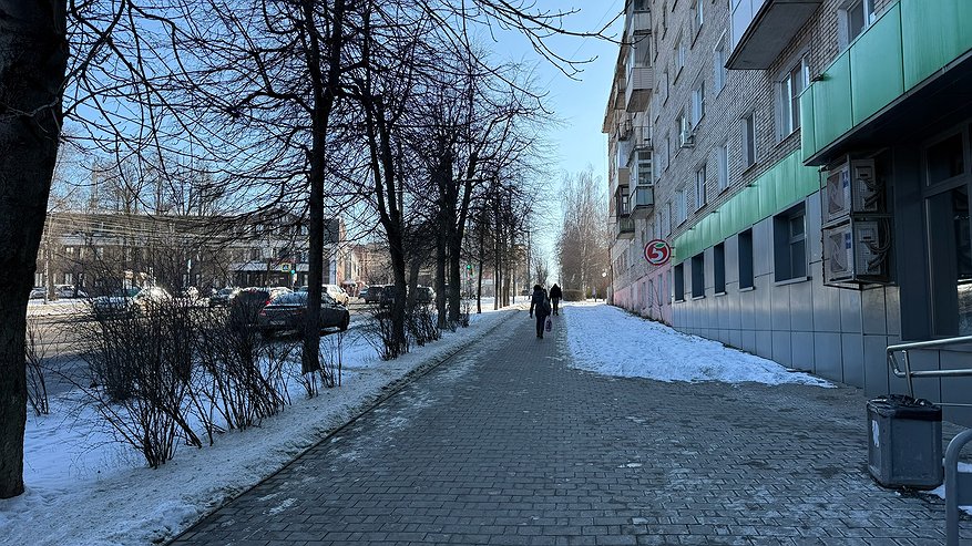 Главная картинка новости: Снега не будет: Вильфанд предупредил о затяжной «псевдозиме» - когда же выпадент снег