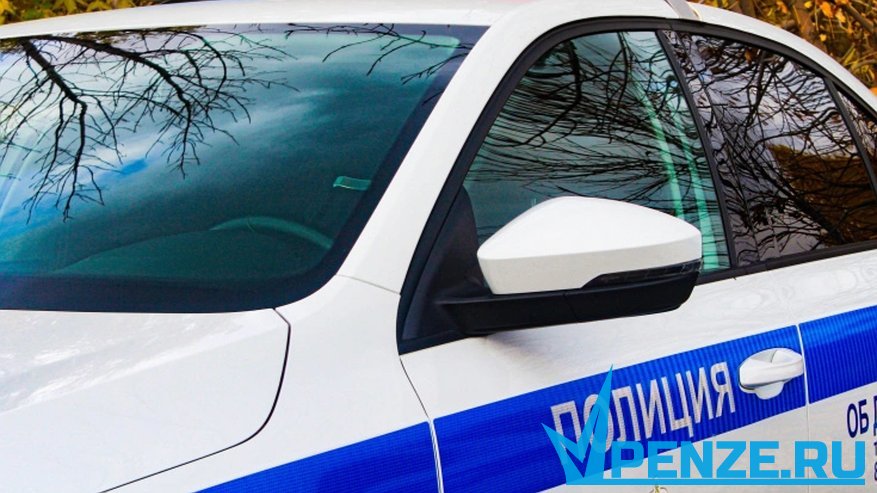 Главная картинка новости: Полицейские нашли в диване пензенца нелегальный арсенал