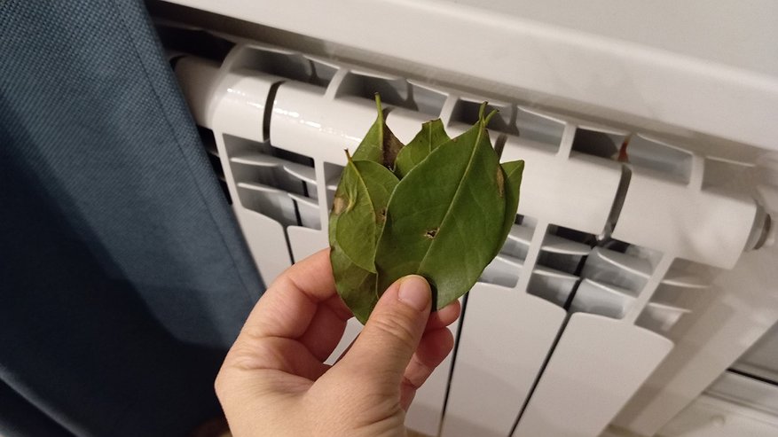 Главная картинка новости: Батареи жарят, а в квартире все равно холодно: три места, через которые уходит тепло из квартиры